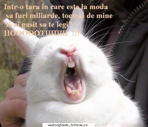 cred ca asta o sa fac sedinta